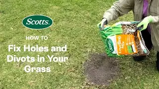 Scotts Lawn Builder Levelling Mix | Fix Dog Digs and Lawn Bumps