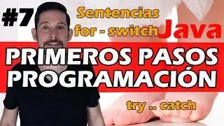 #7 - Sentencias dowhile, switch, for, try...catch de Control Lenguaje de Programa Java