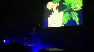 Nadja at LAS Pawilon, Poznań, 2019.10.05 22:49:35