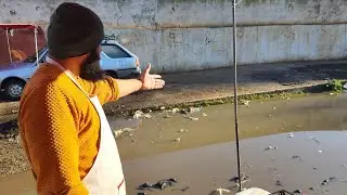 من قلب السوق الأسبوعي لـ #سلوان  جولة صباحية ترصد معاناة تجار الدواجن .. 