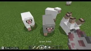 Minecraft Naming Mobs (RAINBOW SHEEP AND UPSIDE DOWN MOBS!)