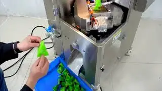 Triangle bags packing machine