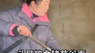 今天亲眼看到农村喂猪都用粮食熟食，那满满一锅的粮食在大锅里翻滚烹煮，真材实料，这猪吃得比我都健康！吃这样的猪肉，你还会觉得不健康、不放心吗？#三农 #土特产走出大山 #乡村振兴 #农村生活 #神农架