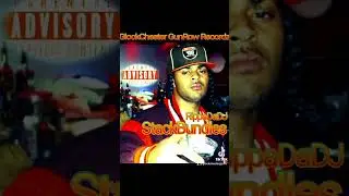 StackBundles RippaDaDJNobody #new #music #newshorts #world #dj #love #diss #490  #rip #stackbundles