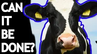 Does ethical dairy exist?
