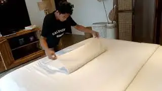Basic tutorial for reels SWAN #lifeisbutadream # PANO GUMAWA NG SWAN #BOSSGERO