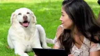 GoodDog Marketing Pet Care Newsletters