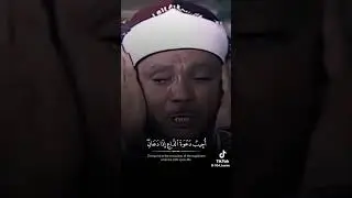 اسمع القران و انسي ضجيج الحياة