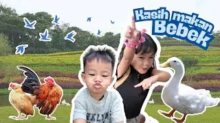 Kasih Makan Ayam, Bebek, burung Merak & Dara Cantik! Khei & Devan Lanjut Seru-Seruan di Villa 🏡🦚🐔🦆🕊️