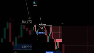 Forex high probability trading setups