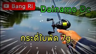 ออกหมายด้วย รอก Dainamo DC กระดี่7กรัม