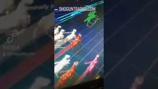 Zed Run - NFT HORSE RACING!