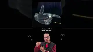Regra da m&atilde;o esquerda #fisica #curiosidades