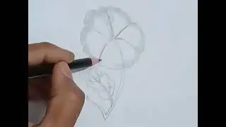 very easy flower drawin| how to draw flower #simple way for beginners