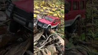 RC Orlandoo Hunter climbs a root