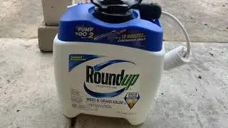 RoundUp Weed and Grass Killer (Does It Work)