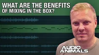 What Are The Benefits Of Mixing in The Box?