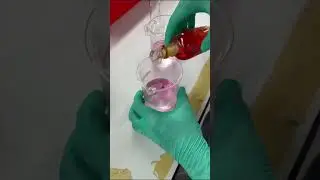 STKK1012 - Experiment 8 : Gravimetric Determination of Calcium as CaC2O4.H2O