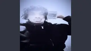 xd musik