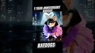 BatCat Mask Sale Amazon: Buy3dMemes.com #batman #batcat #catcostume #cat #cosplay