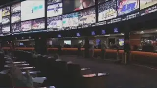 Sports betting on the rise among college-aged adults