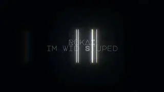 RokAI - im wid Stuped