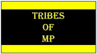 Tribes of Madhya Pradesh I Bhills I Kokur I Gond I Baiga I Kols I Saharia
