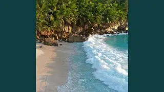 Travel on the Island