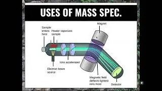 Understanding Mass Spectroscopy  Techniques and Applications 🔬