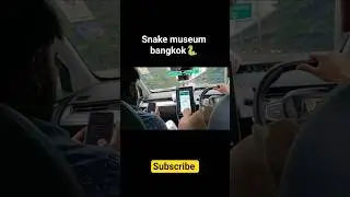 Bangkok snake museum 🐍#thailand  #thamilvlogs#bangkok #pataya #tranding