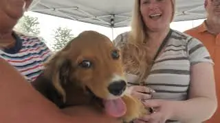 PetSmart Charities Adoption Event