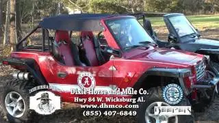 Dixie Horse and Mule Company #2
