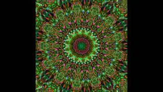 The Antidote - Transilvania (raja ram's stash bag)