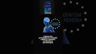 Cognon &eacute; um suplemento vitam&iacute;nico-mineral #acheinashopee #cognon