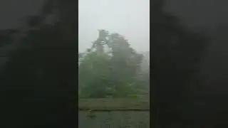 Ampfan in our village, jhaudari