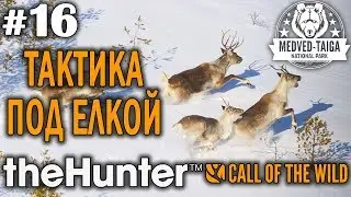 theHunter call of the wild #16 🔫 - Тактика Под Елкой - Арбалет, Револьвер - Олень, Кабарга