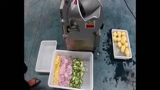 Multifunctional Vegetable Cutting Machine for Leaf and Root Vegetables