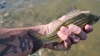 Windy Day Of Worm Fishing At Kentucky Lake