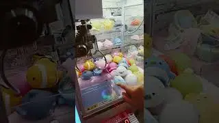 Toy Catch /#tokyo #tokyofun #cute #aquarium #sea #fishing #fish  #shortsanity #shortsclip