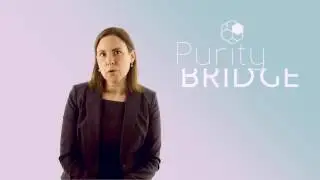Purity Bridge   Nora Nugent
