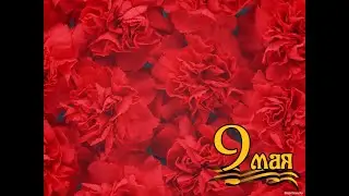 ДНТ Алгыс, Кыйы, Таатта. 9 мая 2018 год.