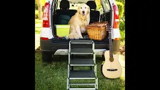 Watch Our Dog Enjoy the Best Climbing Frame! | Fun & Fitness for Pets🐕