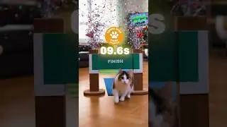 Meow Moves Speed, Style, and Skill #AIart