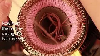 Eye of Partridge Heel - CSM
