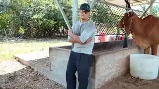 Con un motor se saca el agua para regar lo que es el sácate para luego picar y un sueño complido
