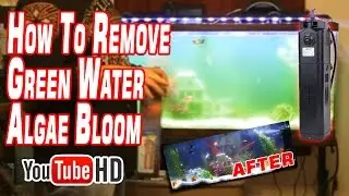 Aquarium UV Light Review SunSun JUP-22