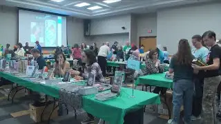Rochester Children and Teens Book Festival celebrates reading