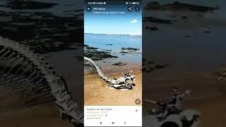 France-ல இப்படி ஒரு skeleton snake இருக்கா 🤯🤯🤯|Tamil facts|@java_R202