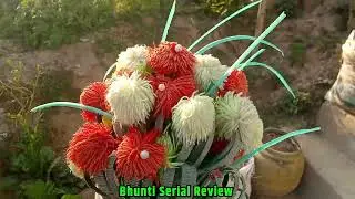 Bhupendra Revenge Starts || Bhunti New Episode || Bhunti Epi 257 || Sukumaya TV || Bhunti New Serial