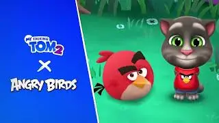 Taiking tom 2 X Angry bird dan Come on, like and subscribe to this, okay?